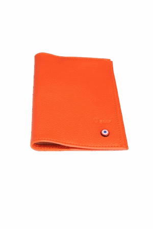 LouisPasseportOrange-removebg-preview